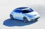 2011-beetle